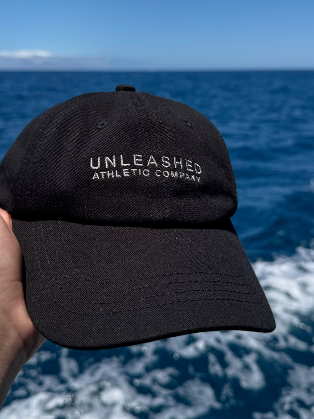 Unleashed Basics Cap